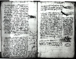 Manoscritto di Parigi E, fol. 22v e 23r: Schizzo del volo degli uccelli, 1513-14